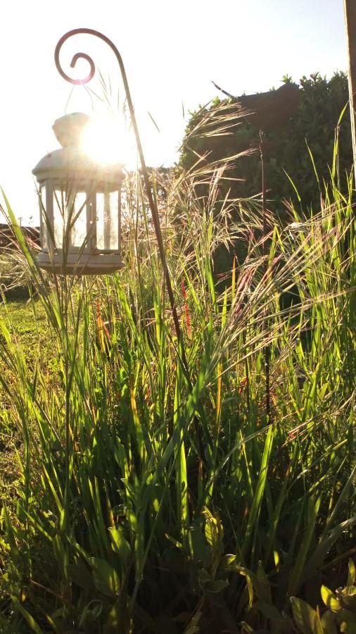 Bed and Breakfast La Pause - Val De Loire Chabris Экстерьер фото