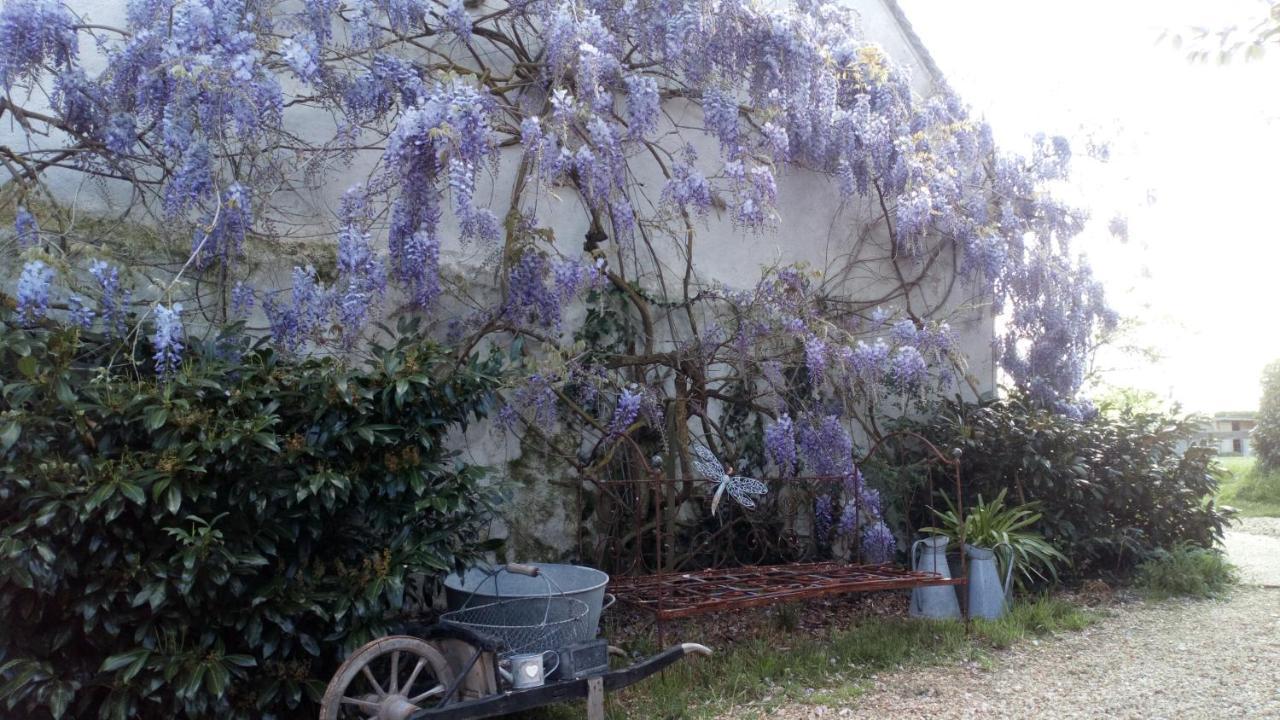 Bed and Breakfast La Pause - Val De Loire Chabris Экстерьер фото